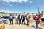 تعطیلی میدان دام سنتی قوچان با دستور دادستان و انتقال معاملات به میدان دام صنعتی